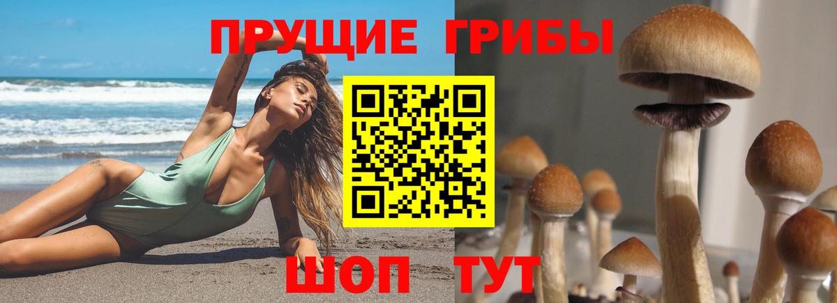 наркошоп  Галлюциногенные грибы Magic Shrooms  Галлюциногенные грибы MAGIC MUSHROOMS  Вход с VPN  Керчь 